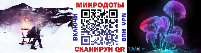 Галлюциногенные грибы Psilocybine cubensis Бакал